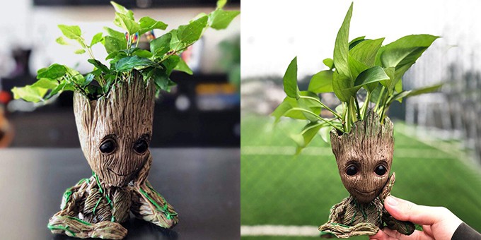 groot-pot-fleur